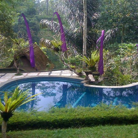 Abisha Mystique Villa Ubud  Exterior photo